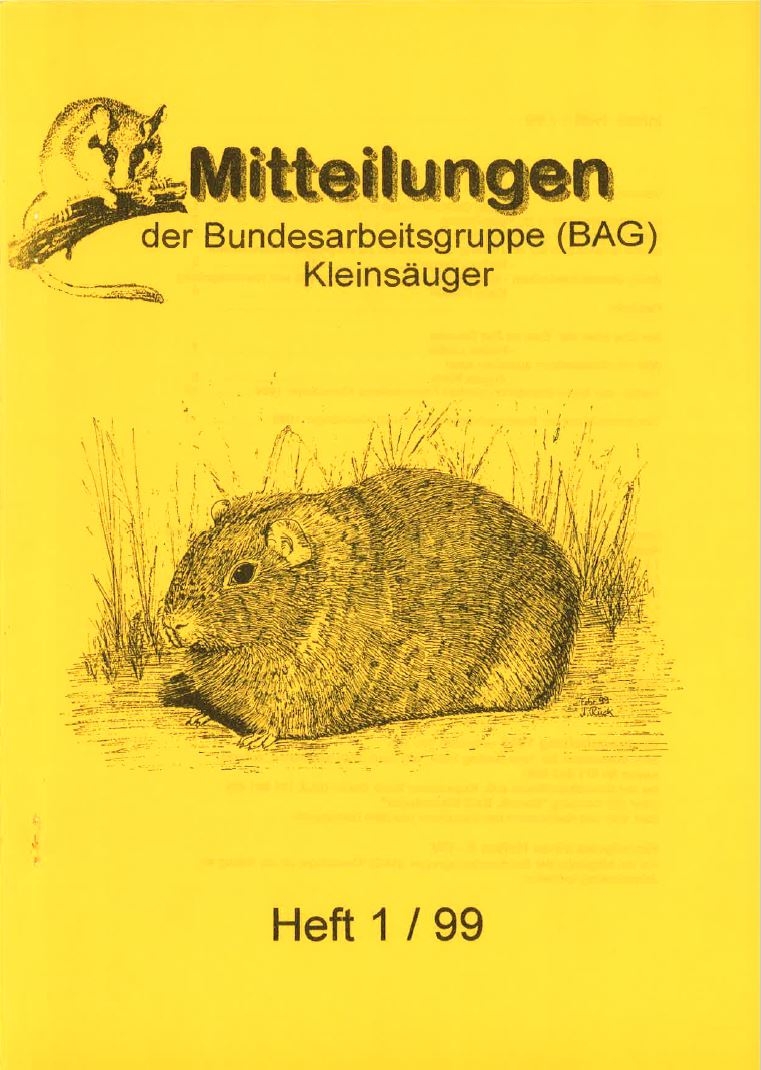 Mitteilungen 1999-1