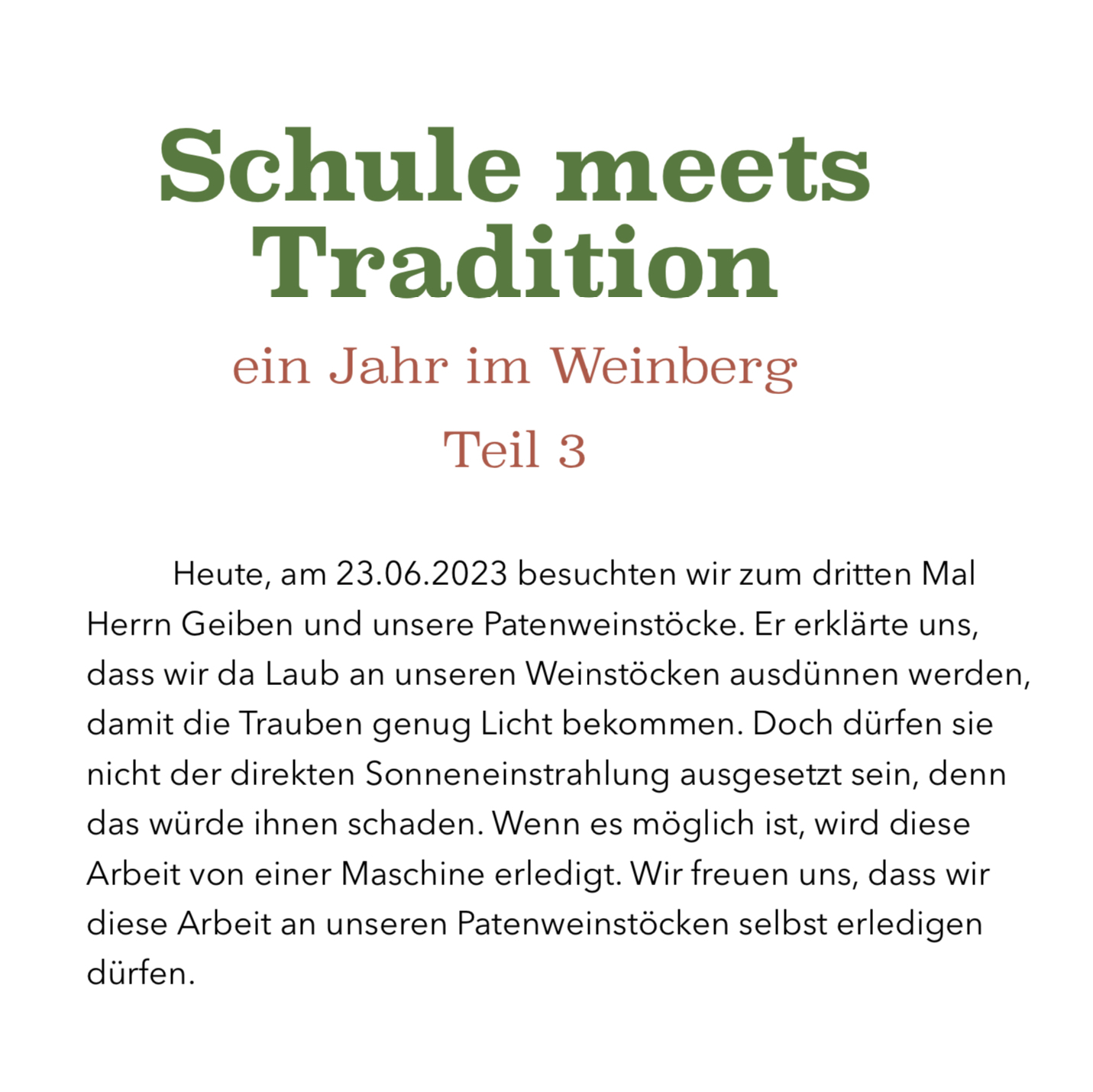 Weinbauprojekt Teil 3 Text