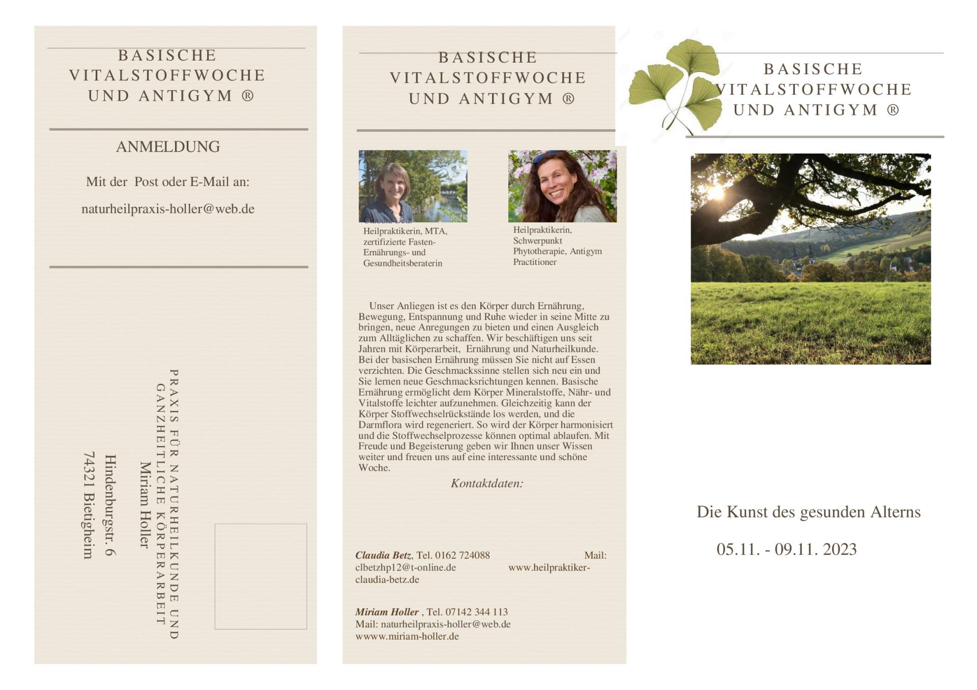 Flyer S1 23