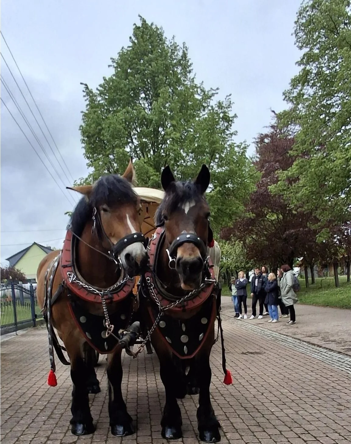Das waren unsere Wegbegleiter für die nächsten Stunden.