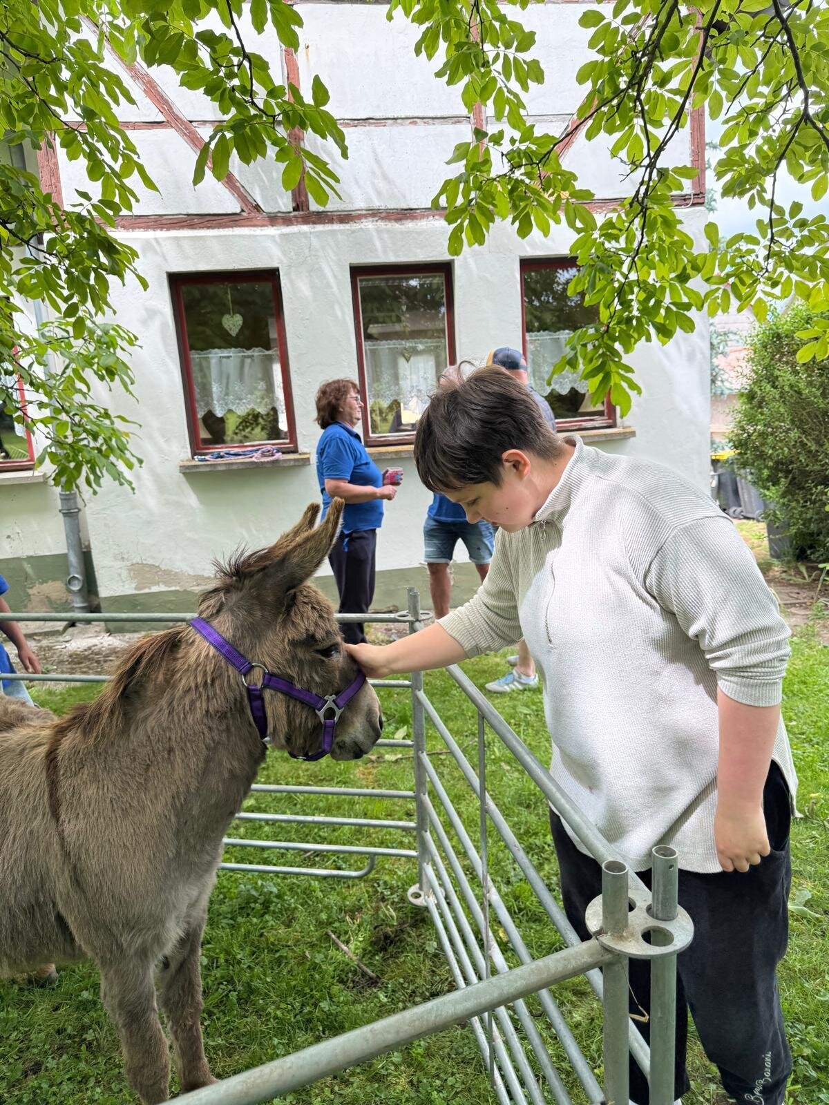 Eine Bewohnerin traute sich sogar den Esel zu streicheln.