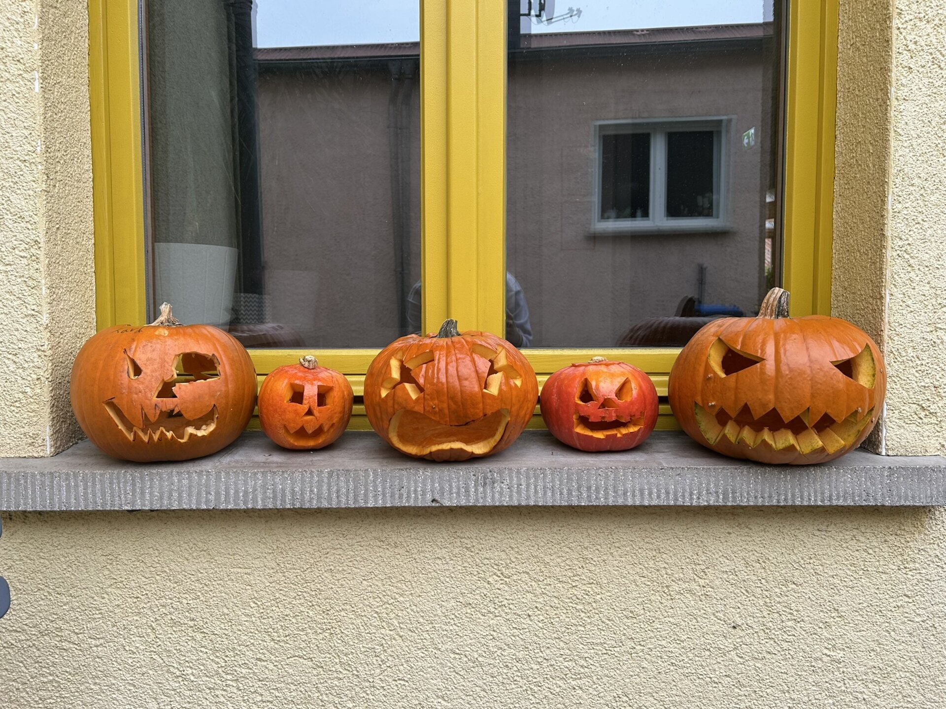 die fünf fertigen Kürbisse stehen nebeneinander auf dem Fensterbrett
