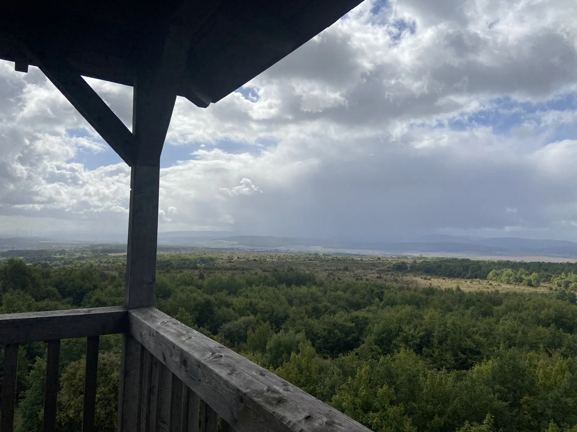 Ausblick auf den Hainich vom Aussichtsturm