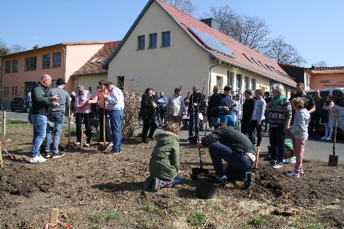 Projektabschluss Baumpflanzaktion