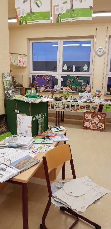 Projekt "Unser Wald"