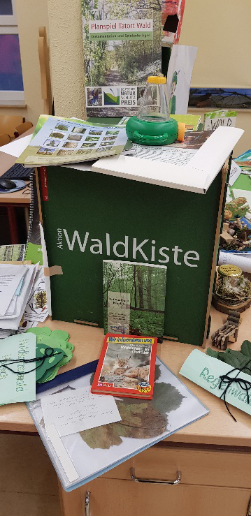 Projekt "Unser Wald"
