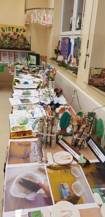 Projekt "Unser Wald"