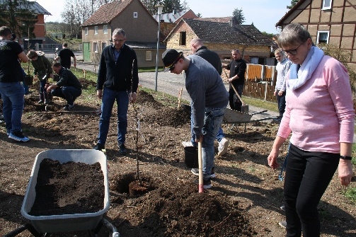 Projektabschluss Baumpflanzaktion