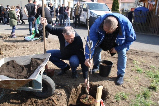 Projektabschluss Baumpflanzaktion