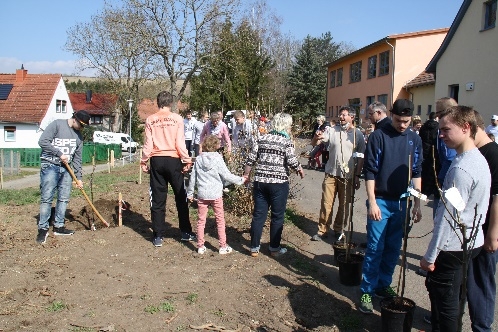 Projektabschluss Baumpflanzaktion