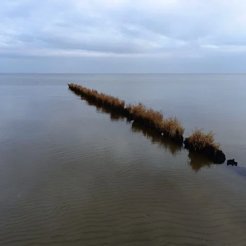 strandspaziergang-ueckermuende