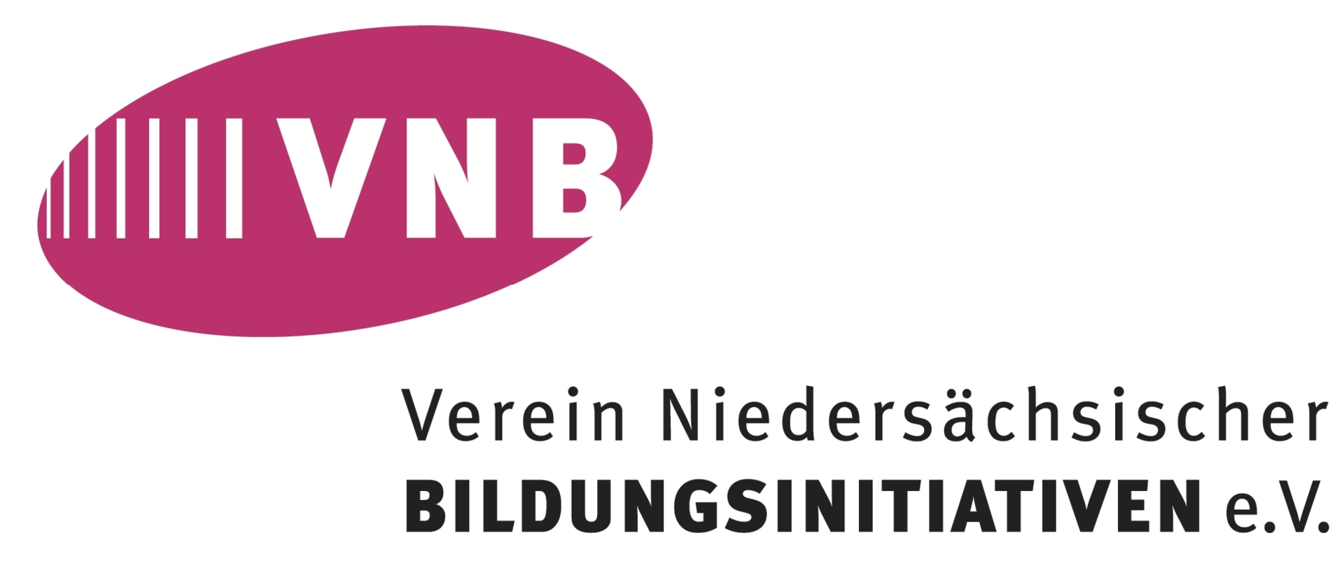 vnb-logo