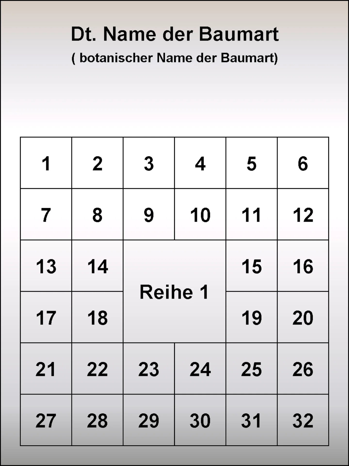 Baumhain Urne zweistellig