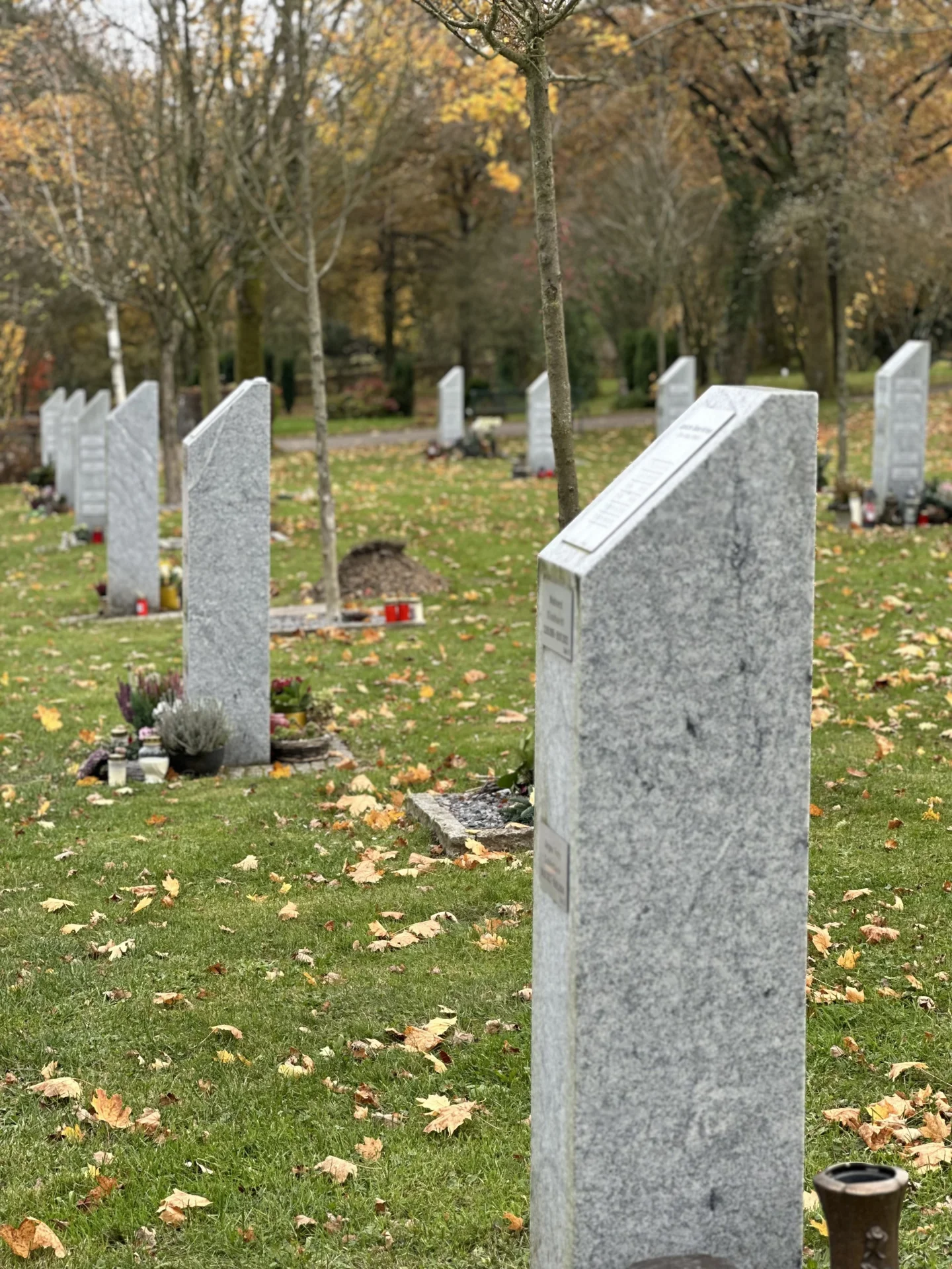Baumhain Urne einstellig
