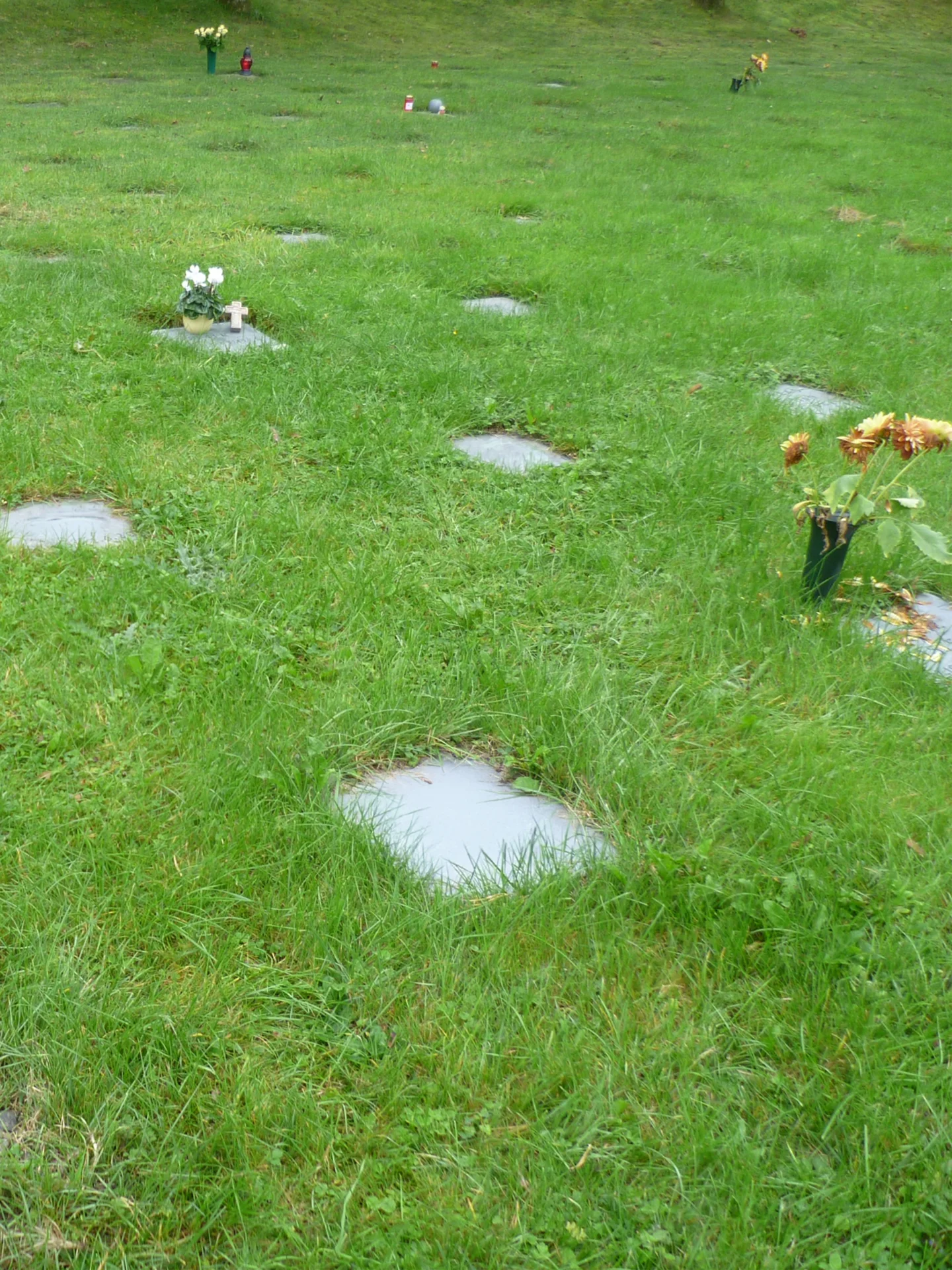 Urnenreihengrab mit Steinplatte zweistellig