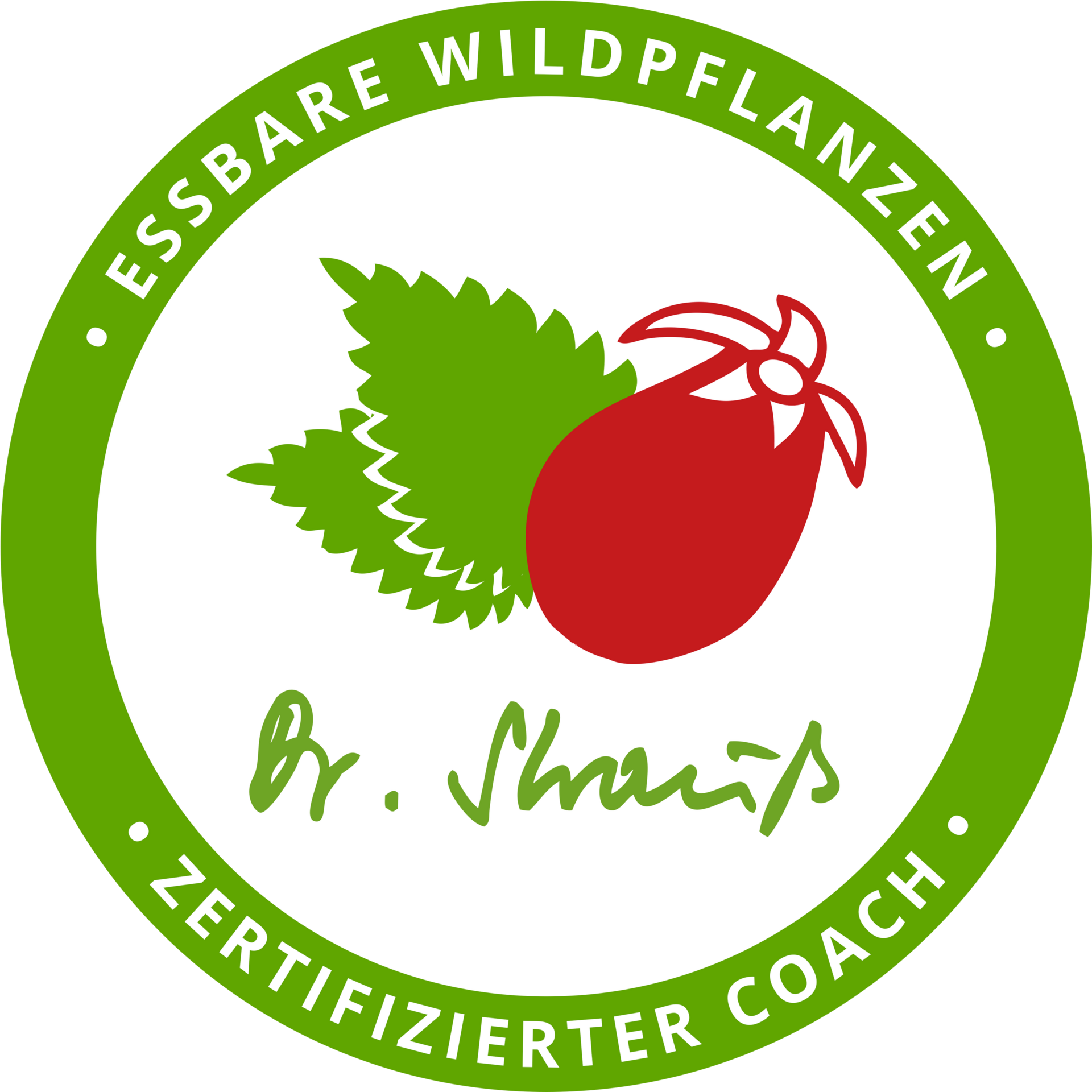 Logo Dr. Strauß