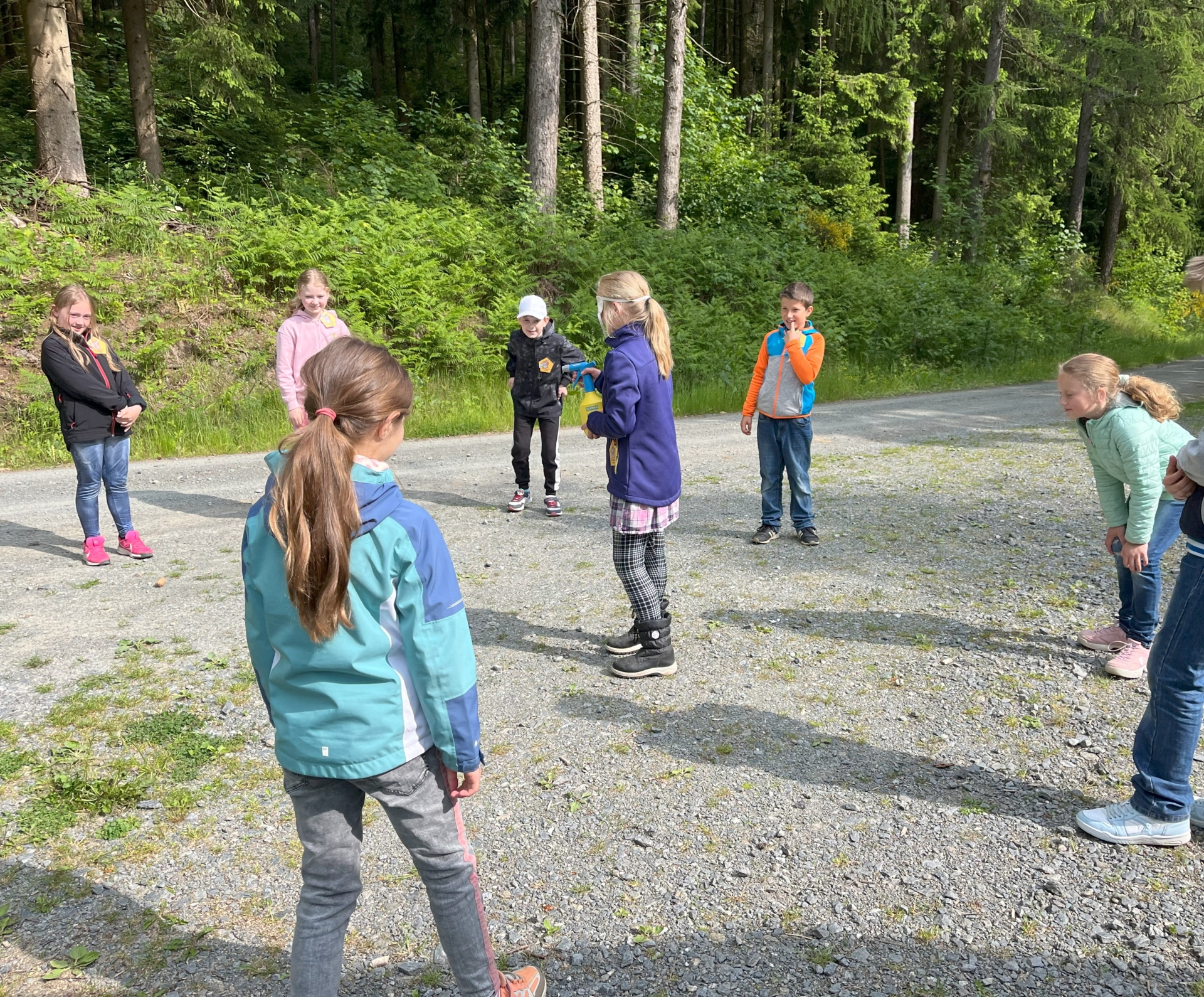 Wald 2025 (002)