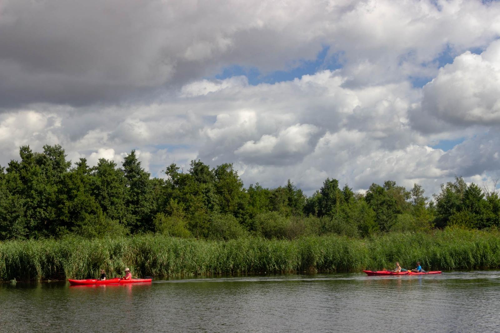 auf der Peene