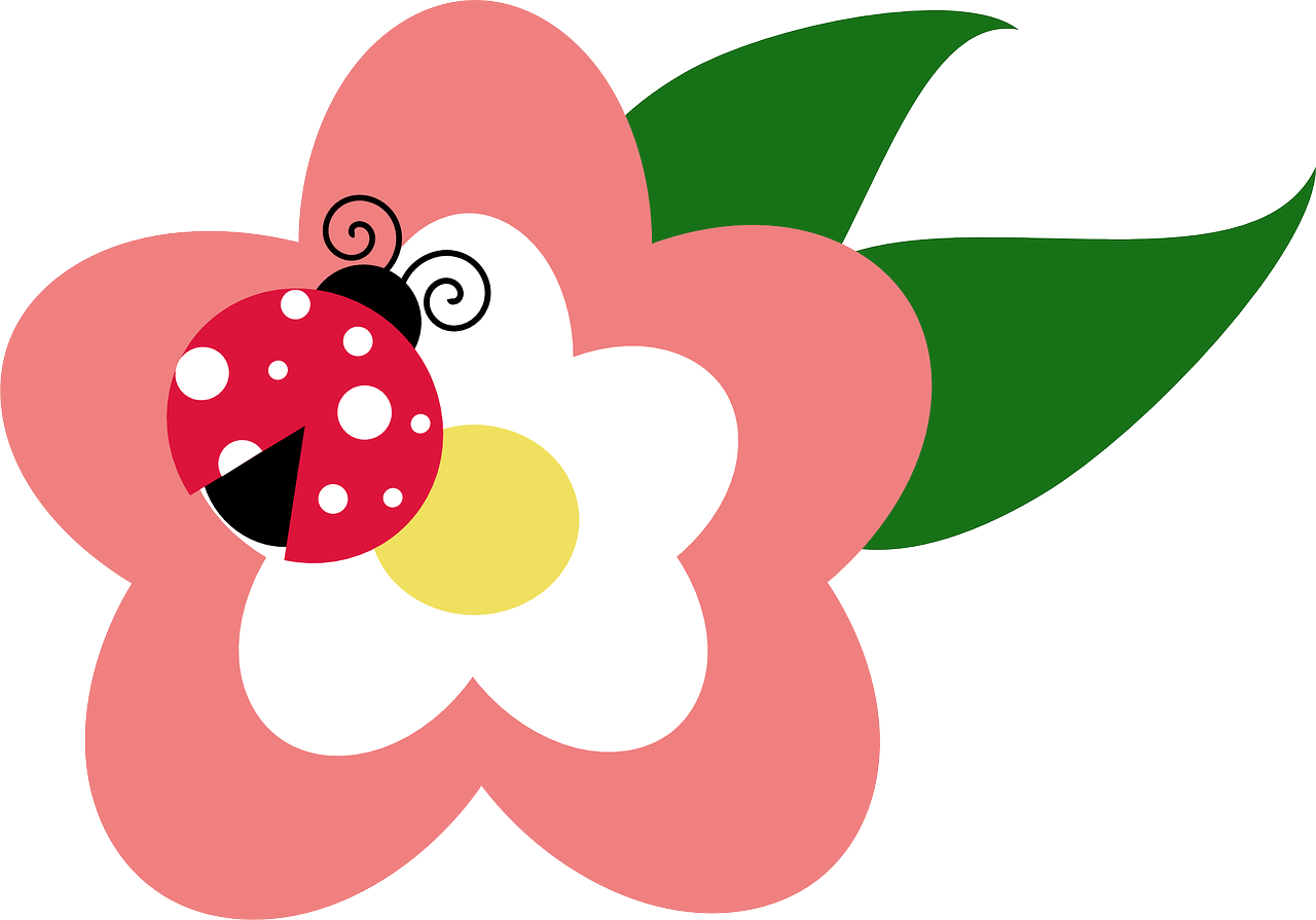 Marienkäfer