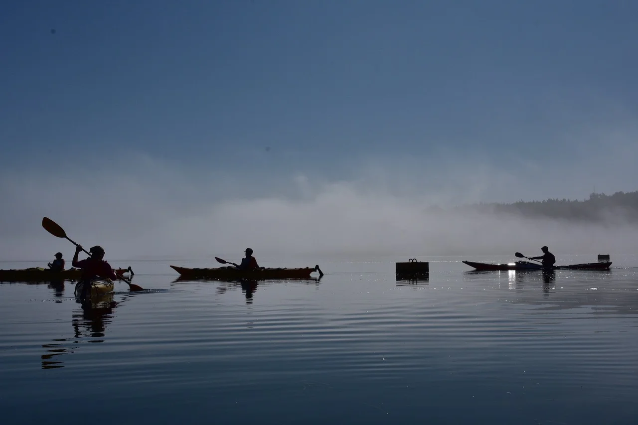 Barhöft Morgennebel