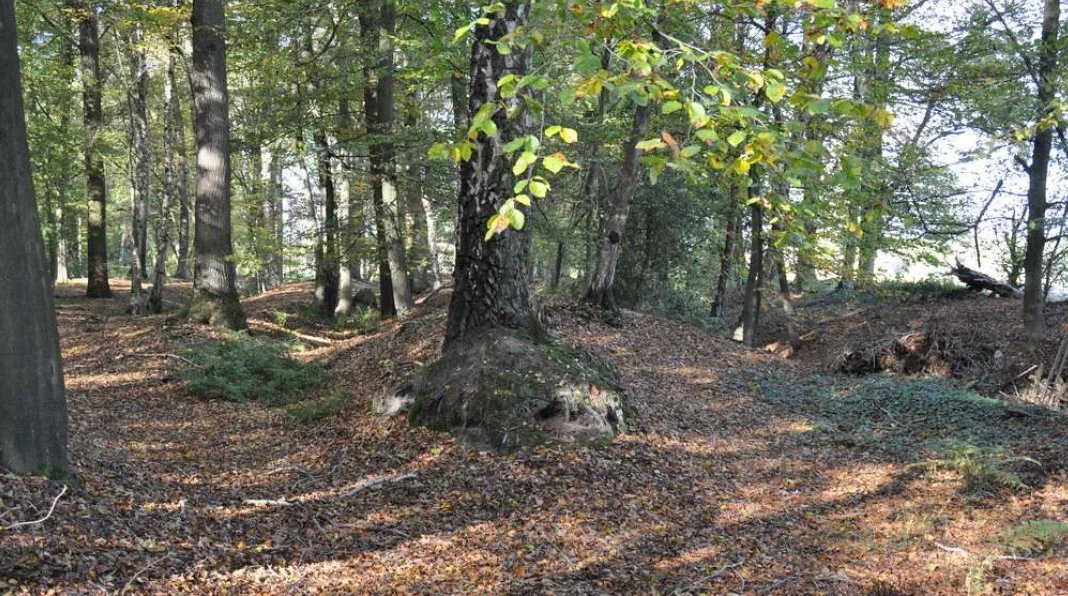 Landwehr in der Nähe Große-Rövekamp