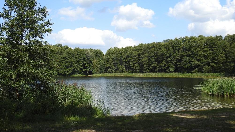 Naturschutzgebiet Neuendorf