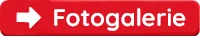 Fotogalerien