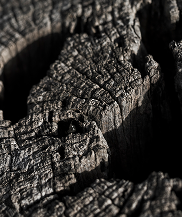 macro-shot-wooden-texture