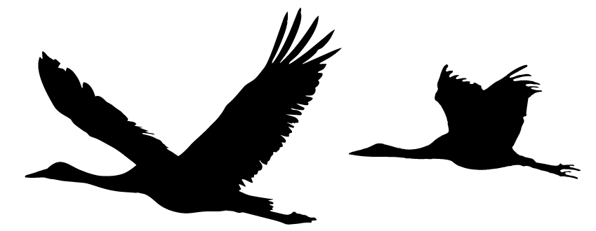 Kraniche