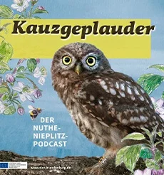 podcast-kauzgeplauder