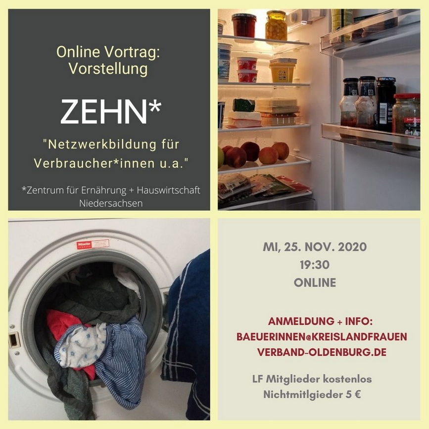 Online Vortrag ZEHN
