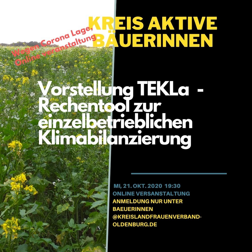 Vorstellung TEKla
