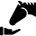 icon-gynaekologie-und-fohlenmedizin