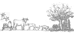 logo-langenbacher-hof-gbr