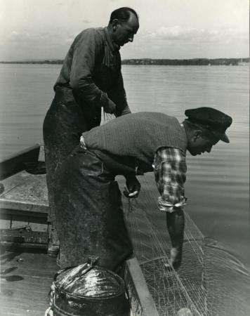 Fischer bei der Arbeit