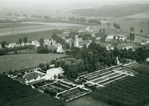 Friedhof 1954