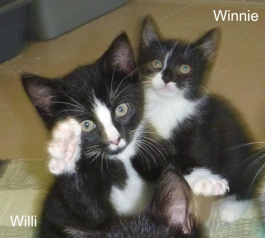 Winnie und Willy
