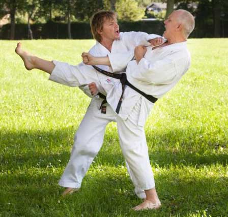 2014 Karate