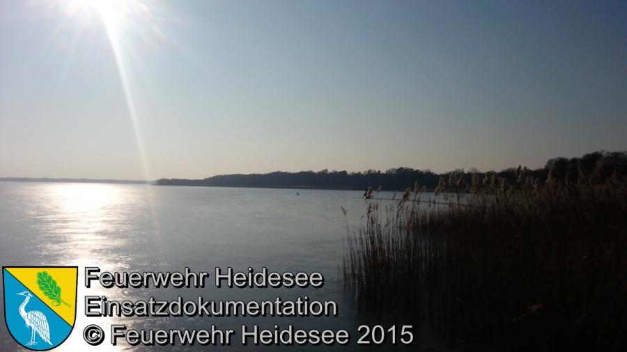 Einsatz 23/2015 Schwan in Not Wolziger See 15.02.2015