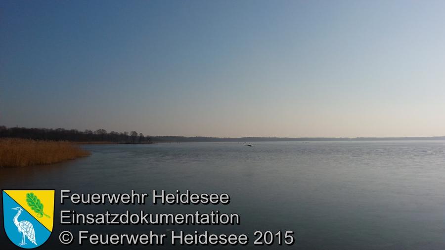 Einsatz 23/2015 Schwan in Not Wolziger See 15.02.2015