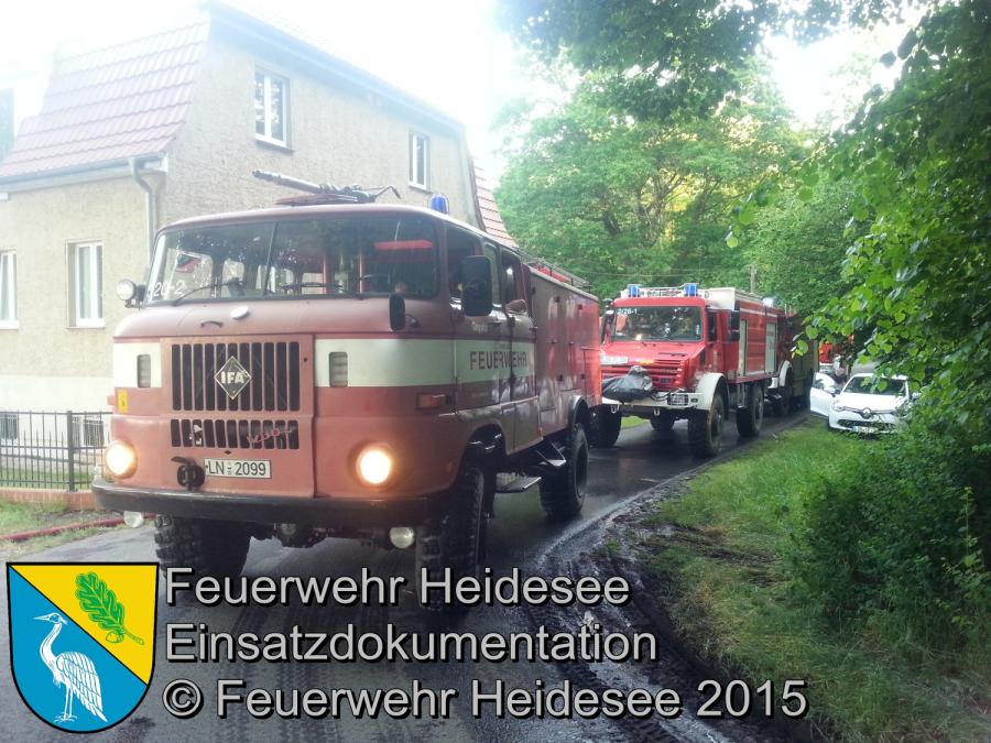 Einsatz 97/2015 Waldbrand Hammer 1 Hektar 05.06.2015