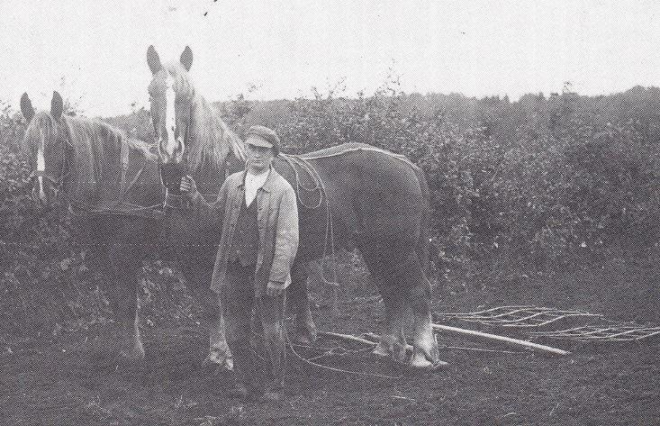 Hans Asmussen auf dem Feld