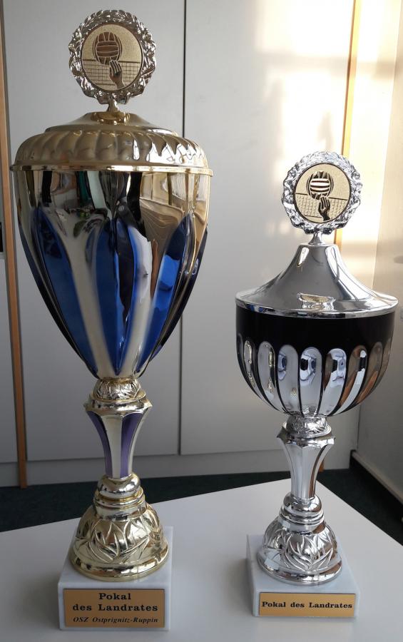 Pokal Pokal