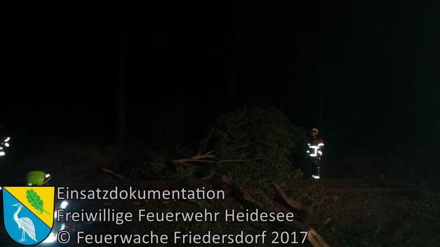Einsatz 259/2017 | Baum in Oberleitung | Bindow Kablower Weg | 05.10.2017