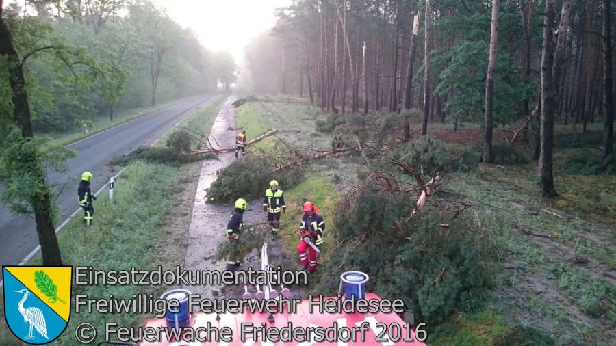 Einsatz 41/2016 | mehrere Bäume auf Radweg | L40 OV Friedersdorf - Bindow 24.05.2016
