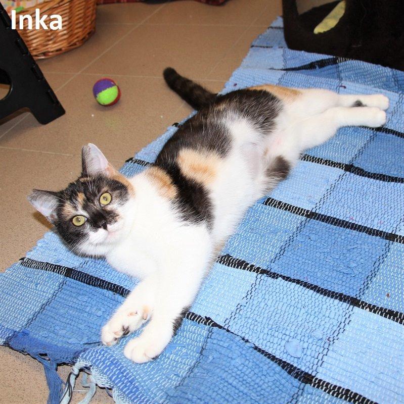 Inka