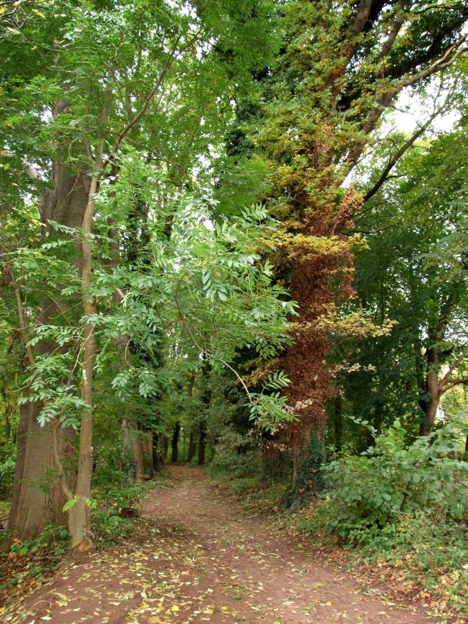 Park Dobbertin, Kunstpfad