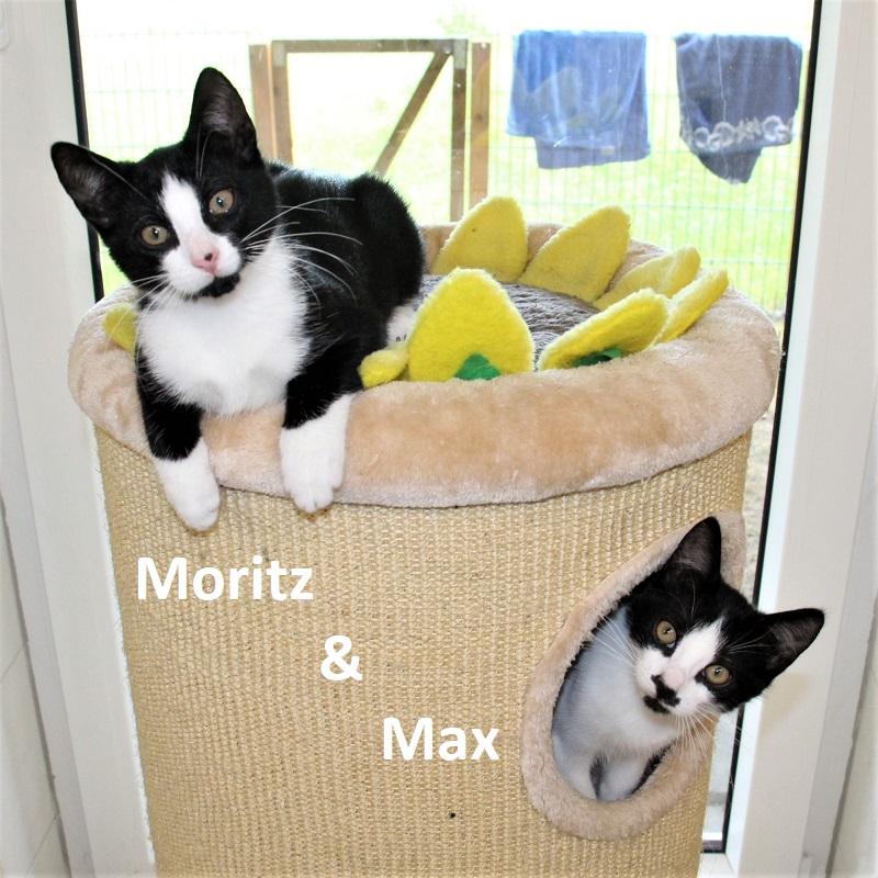 Max & Moritz