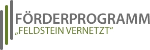 Feldstein-Logo