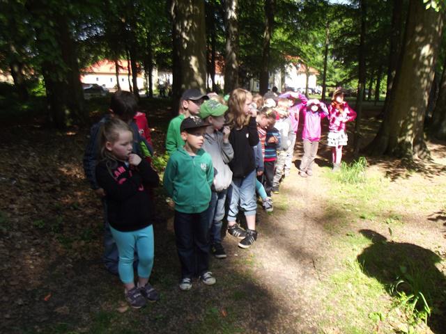 Wald 2 Wald 2